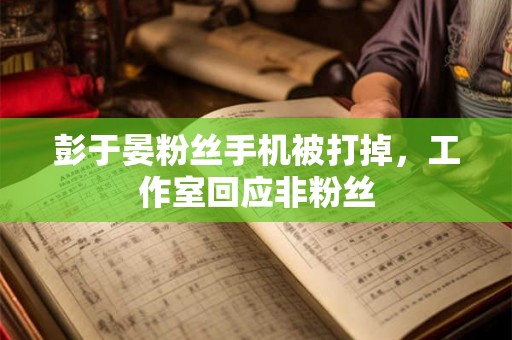 彭于晏粉丝手机被打掉，工作室回应非粉丝