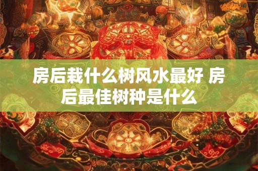 房后栽什么树风水最好 房后最佳树种是什么