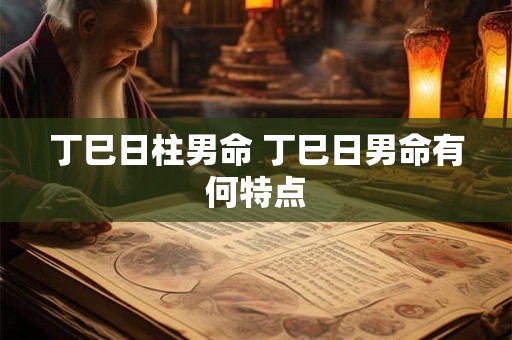 丁巳日柱男命 丁巳日男命有何特点