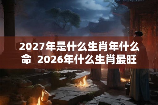 2027年是什么生肖年什么命  2026年什么生肖最旺
