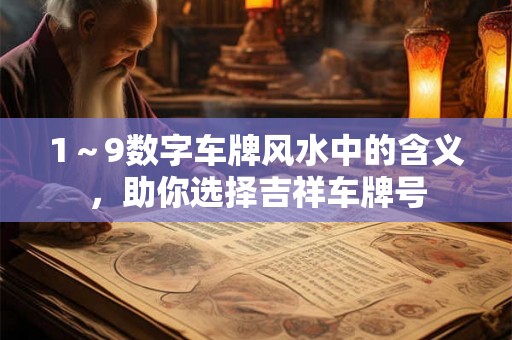 1~9数字车牌风水中的含义,助你选择吉祥车牌号 1~9数字车牌风水中的含义,助你选择吉祥车牌号