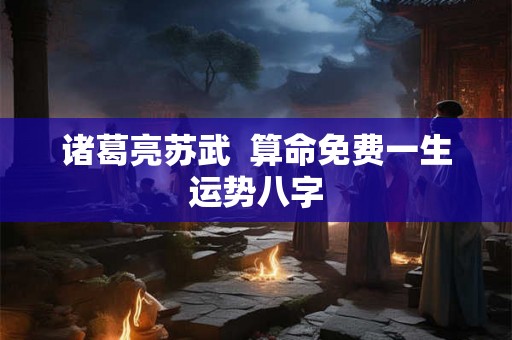 诸葛亮苏武  算命免费一生运势八字