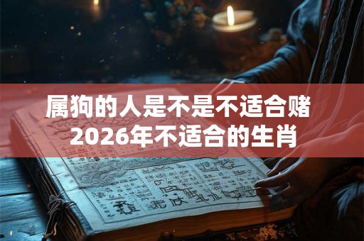 属狗的人是不是不适合赌 2026年不适合的生肖