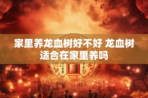 家里养龙血树好不好 龙血树适合在家里养吗