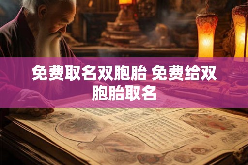 免费取名双胞胎 免费给双胞胎取名