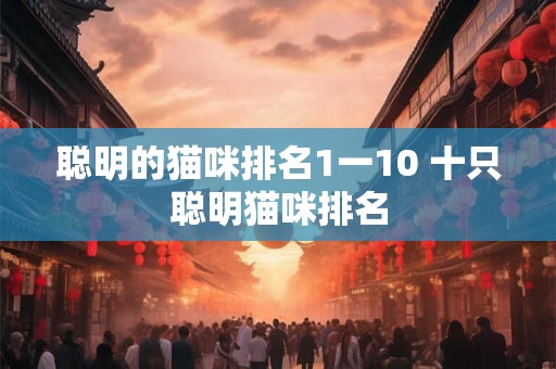 聪明的猫咪排名1一10 十只聪明猫咪排名