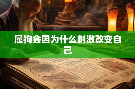 属狗会因为什么刺激改变自己