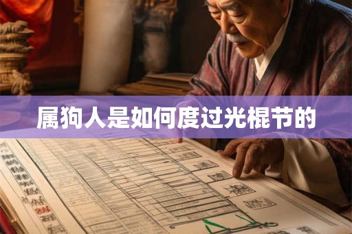 属狗人是如何度过光棍节的