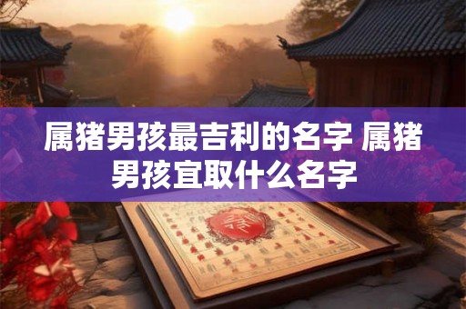 属猪男孩最吉利的名字 属猪男孩宜取什么名字