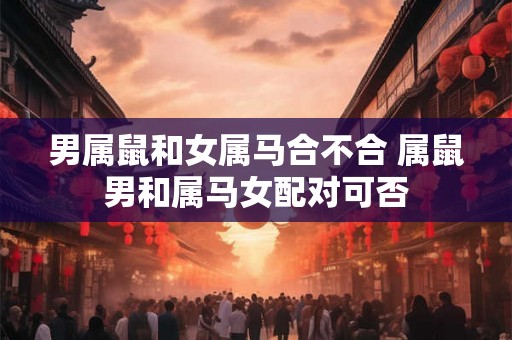 男属鼠和女属马合不合 属鼠男和属马女配对可否