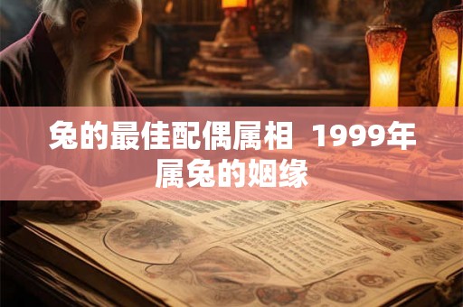 兔的最佳配偶属相  1999年属兔的姻缘