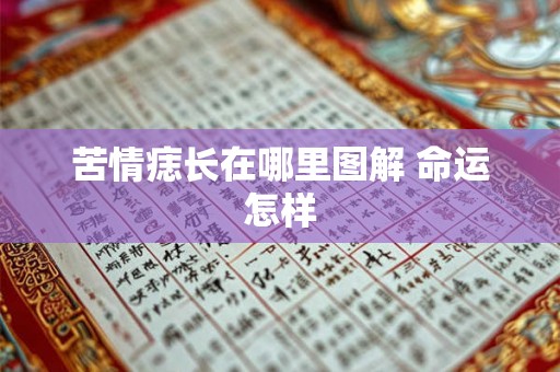 苦情痣长在哪里图解 命运怎样