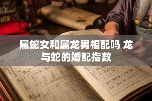 属蛇女和属龙男相配吗 龙与蛇的婚配指数