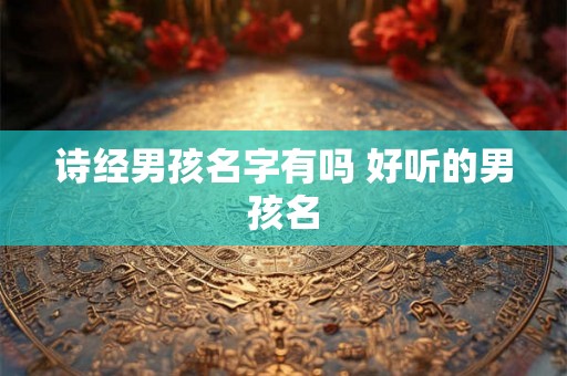 诗经男孩名字有吗 好听的男孩名 诗经男孩名字有吗 好听的男孩名