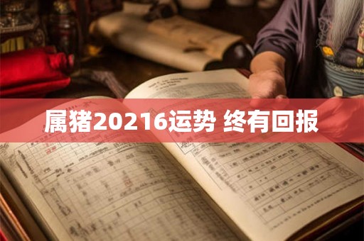 属猪20216运势 终有回报 属猪20216运势 终有回报