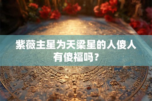 紫薇主星为天梁星的人傻人有傻福吗？