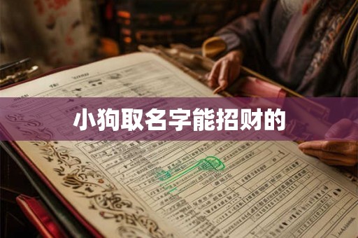 小狗取名字能招财的