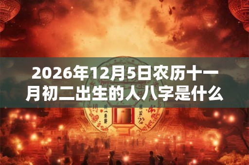 2026年12月5日农历十一月初二出生的人八字是什么