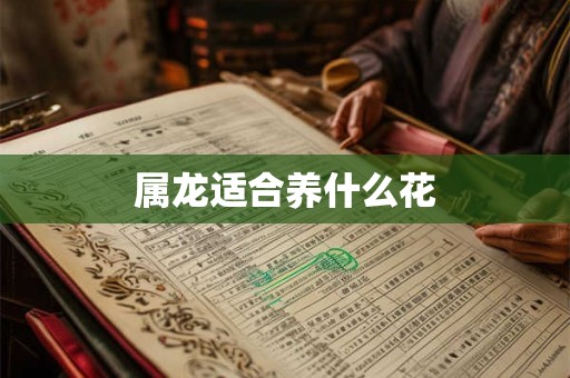 属龙适合养什么花