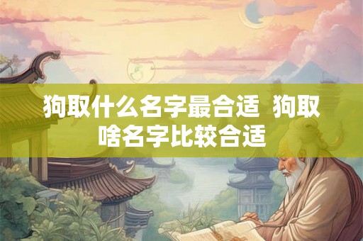 狗取什么名字最合适  狗取啥名字比较合适