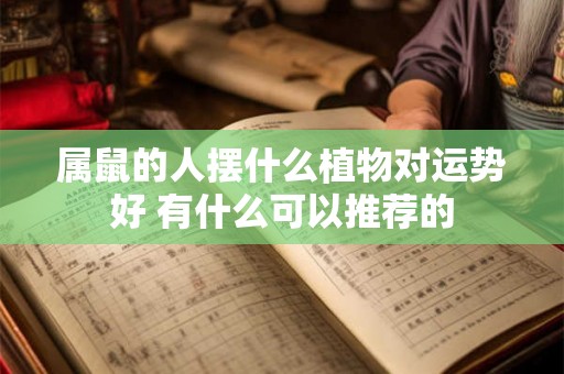 属鼠的人摆什么植物对运势好 有什么可以推荐的