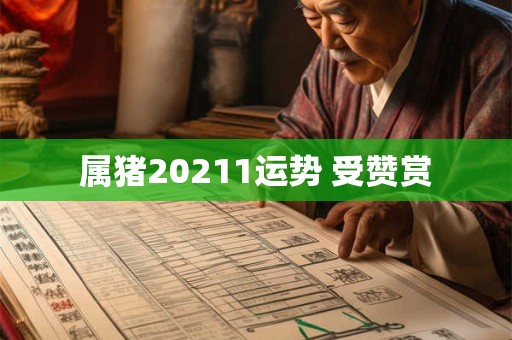 属猪20211运势 受赞赏