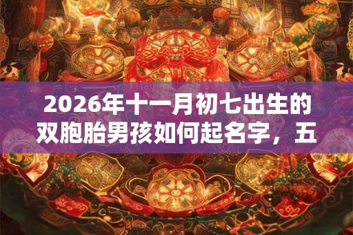 2026年十一月初七出生的双胞胎男孩如何起名字，五行属相是什么