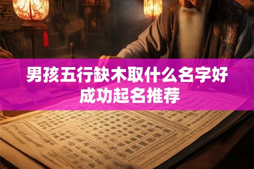 男孩五行缺木取什么名字好 成功起名推荐
