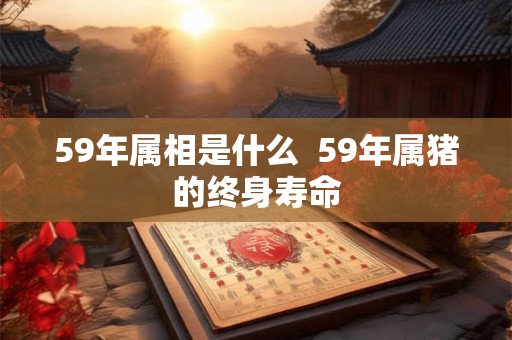 59年属相是什么 59年属猪的终身寿命 59年属相是什么 59年属猪的终身寿命