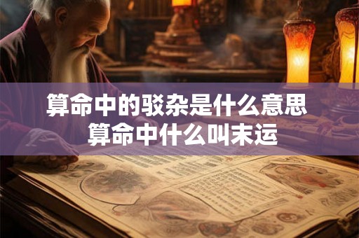 算命中的驳杂是什么意思  算命中什么叫末运