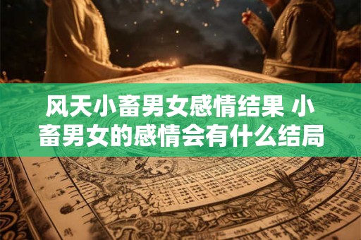 风天小畜男女感情结果 小畜男女的感情会有什么结局
