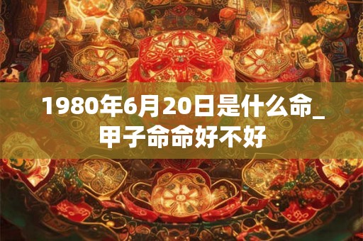 1980年6月20日是什么命_甲子命命好不好