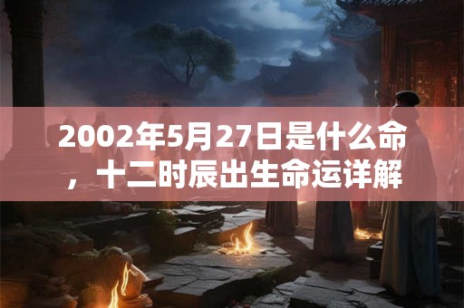 2002年5月27日是什么命,十二时辰出生命运详解 2002年5月27日是什么命,十二时辰出生命运详解