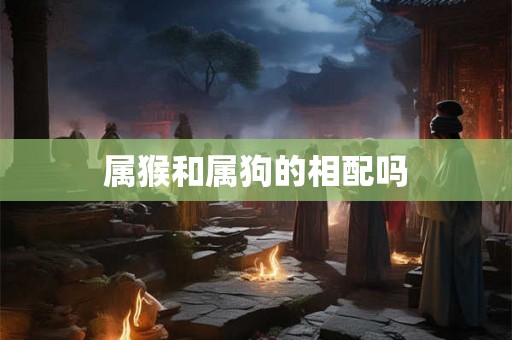 属猴和属狗的相配吗