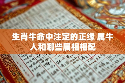 生肖牛命中注定的正缘 属牛人和哪些属相相配