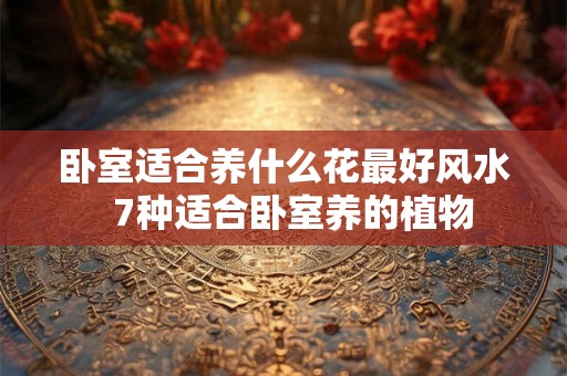 卧室适合养什么花最好风水  7种适合卧室养的植物