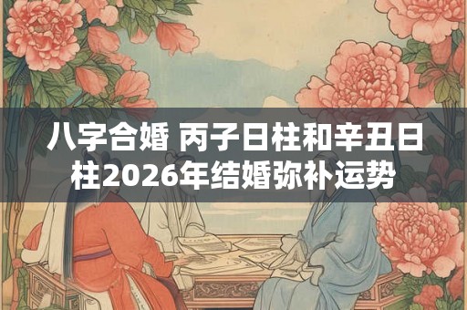 八字合婚 丙子日柱和辛丑日柱2026年结婚弥补运势