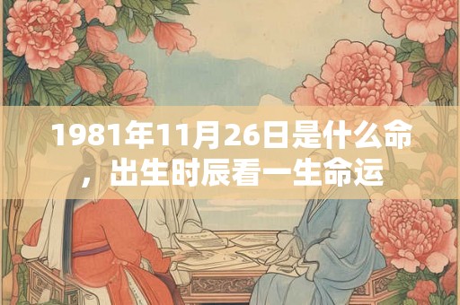 1981年11月26日是什么命，出生时辰看一生命运