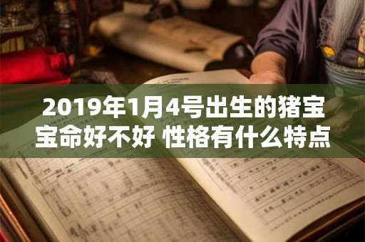 2019年1月4号出生的猪宝宝命好不好 性格有什么特点 2019年1月4号出生的猪宝宝命好不好 性格有什么特点