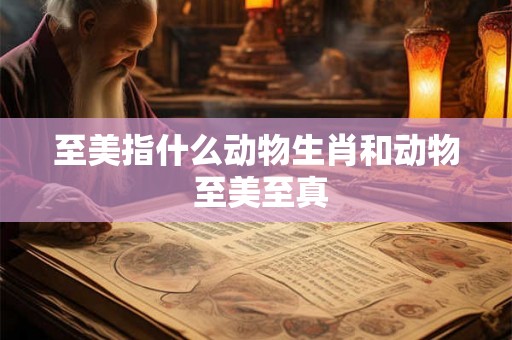 至美指什么动物生肖和动物 至美至真