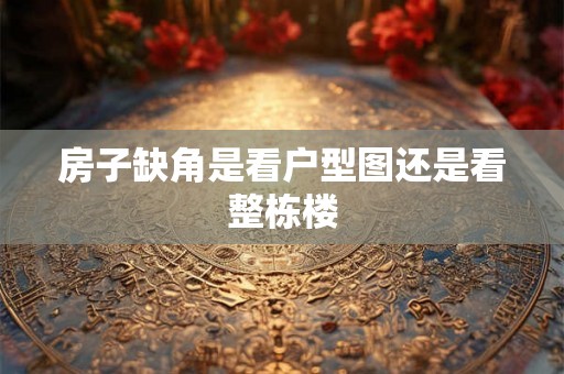房子缺角是看户型图还是看整栋楼
