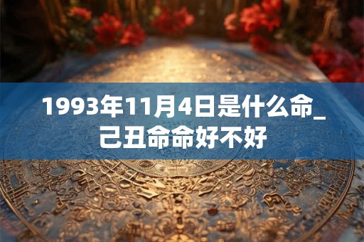 1993年11月4日是什么命_己丑命命好不好