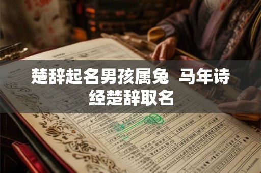 楚辞起名男孩属兔  马年诗经楚辞取名