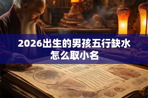 2026出生的男孩五行缺水怎么取小名
