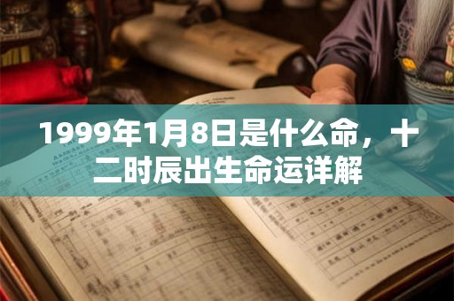 1999年1月8日是什么命，十二时辰出生命运详解