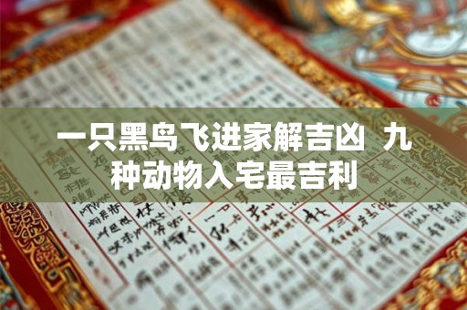 一只黑鸟飞进家解吉凶  九种动物入宅最吉利