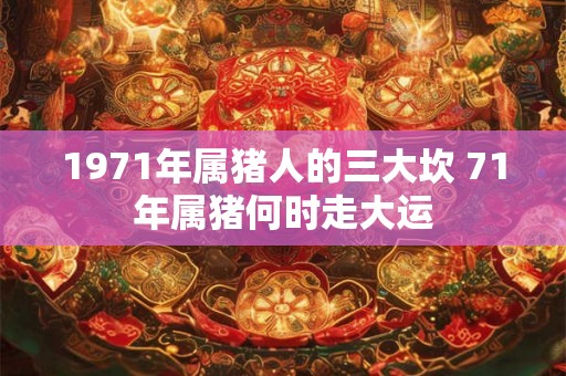 1971年属猪人的三大坎 71年属猪何时走大运 1971年属猪人的三大坎 71年属猪何时走大运