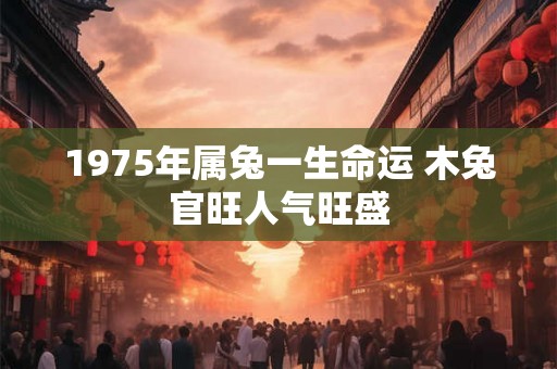 1975年属兔一生命运 木兔官旺人气旺盛
