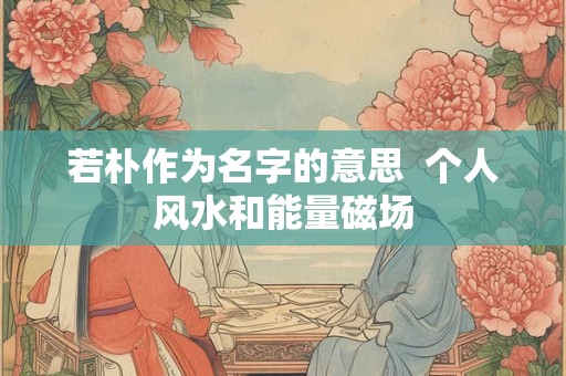 若朴作为名字的意思  个人风水和能量磁场