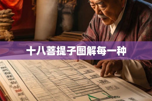 十八菩提子图解每一种 十八菩提子图解每一种